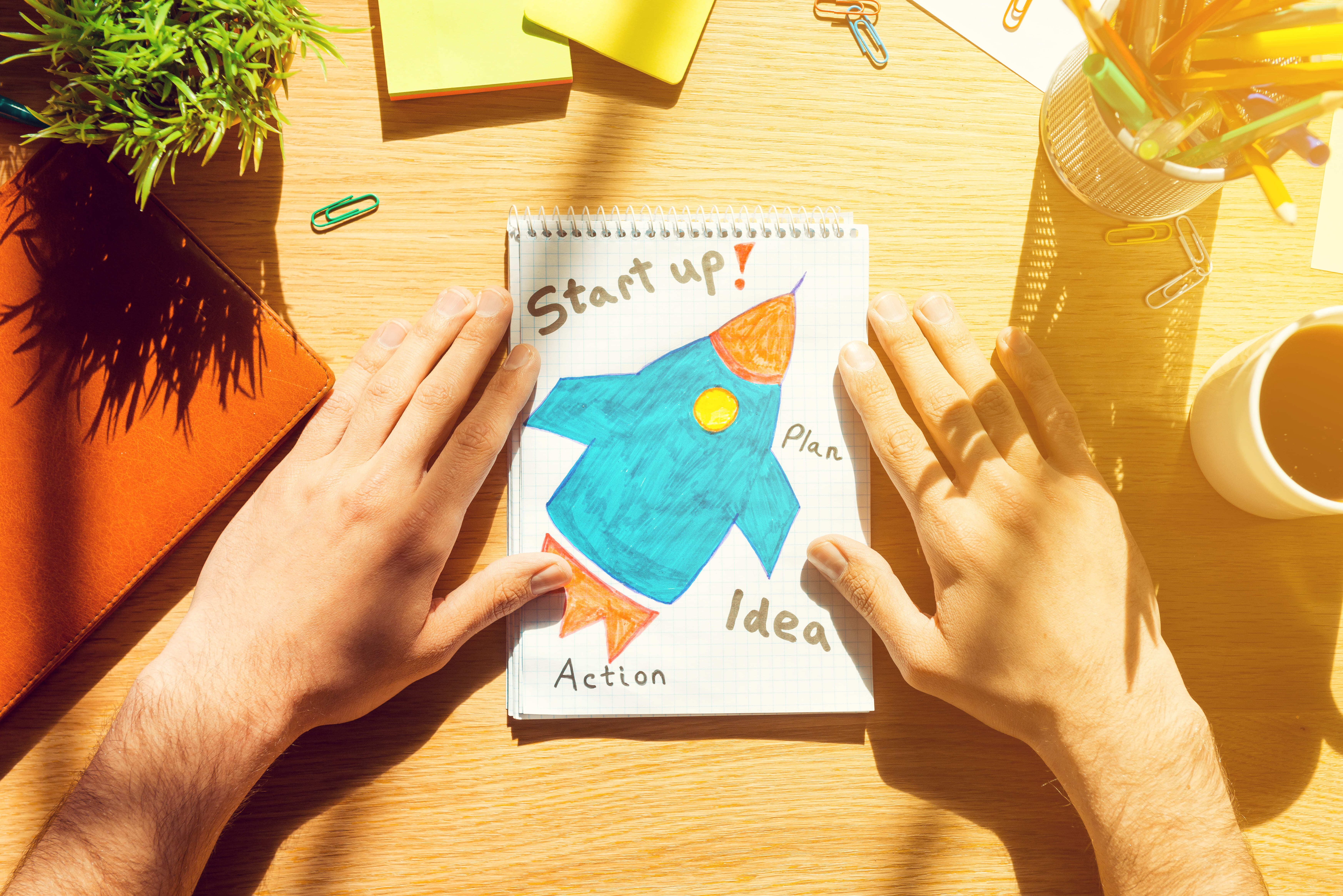 Start up Fourseeds 2026